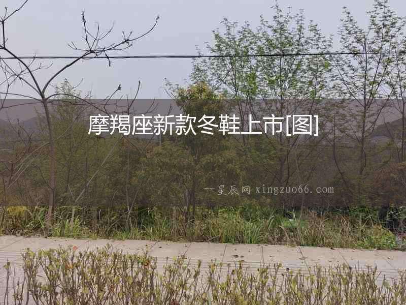 摩羯座新款冬鞋上市[圖]