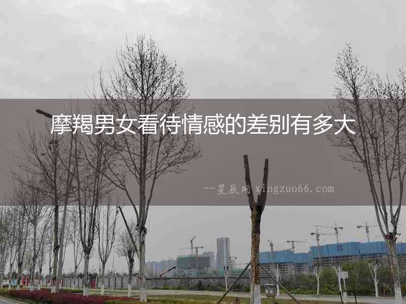 摩羯男女看待情感的差別有多大