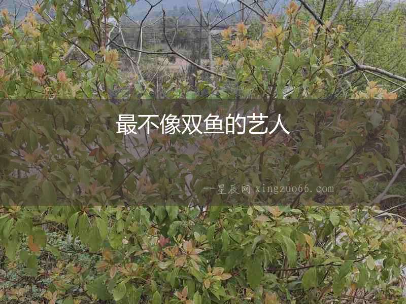 最不像雙魚的藝人