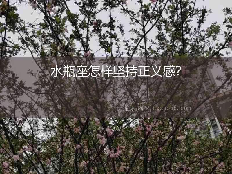 水瓶座怎樣堅持正義感？