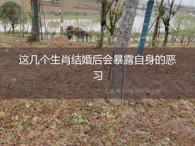 這幾個生肖結(jié)婚后會暴露自身的惡習(xí)