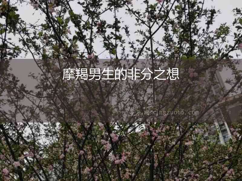 摩羯男生的非分之想