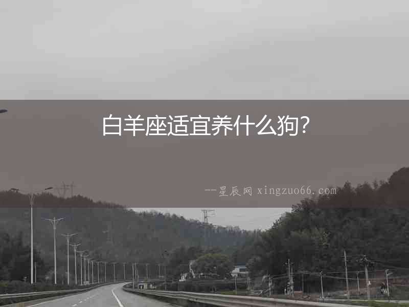 白羊座適宜養(yǎng)什么狗？