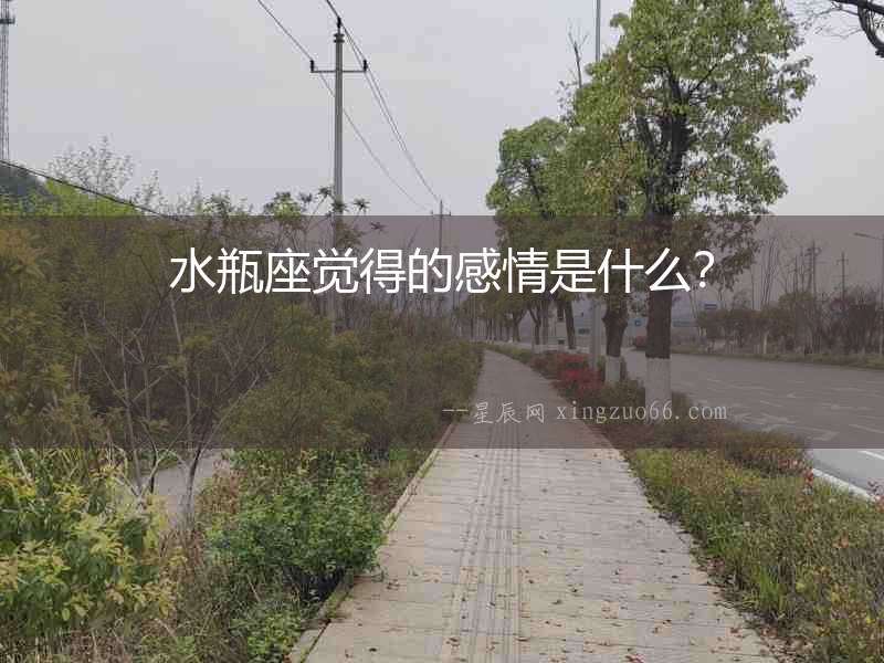 水瓶座覺得的感情是什么？