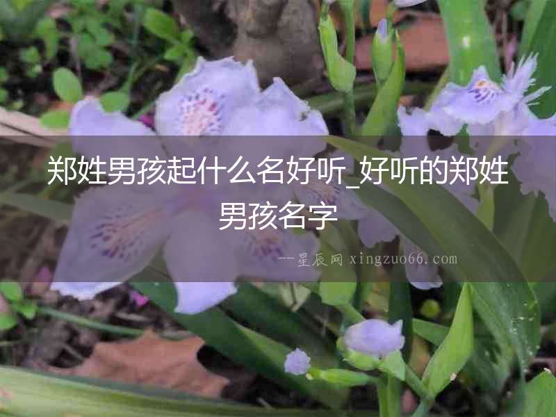 鄭姓男孩起什么名好聽_好聽的鄭姓男孩名字