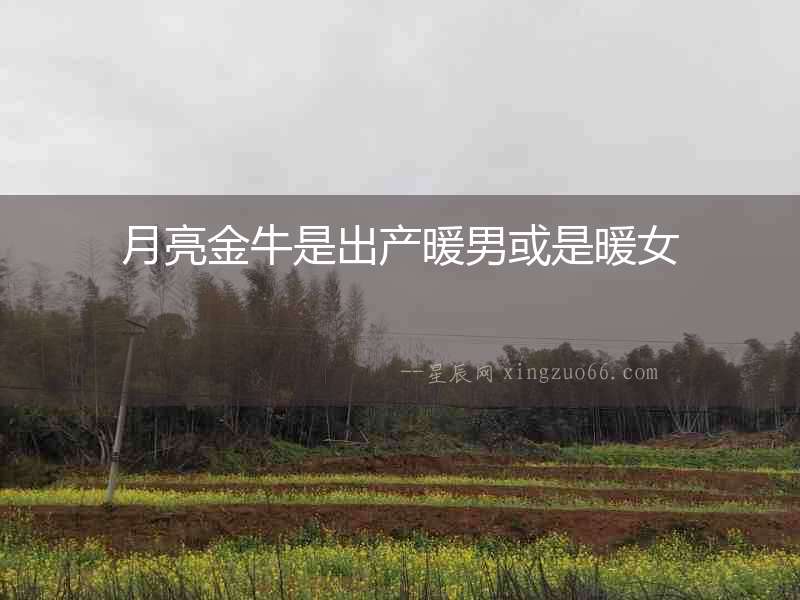月亮金牛是出產(chǎn)暖男或是暖女
