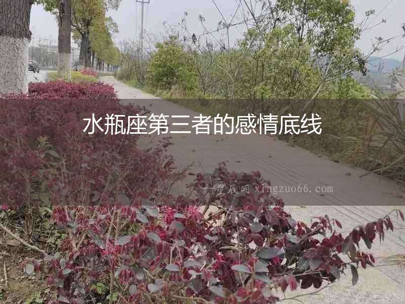 水瓶座第三者的感情底線