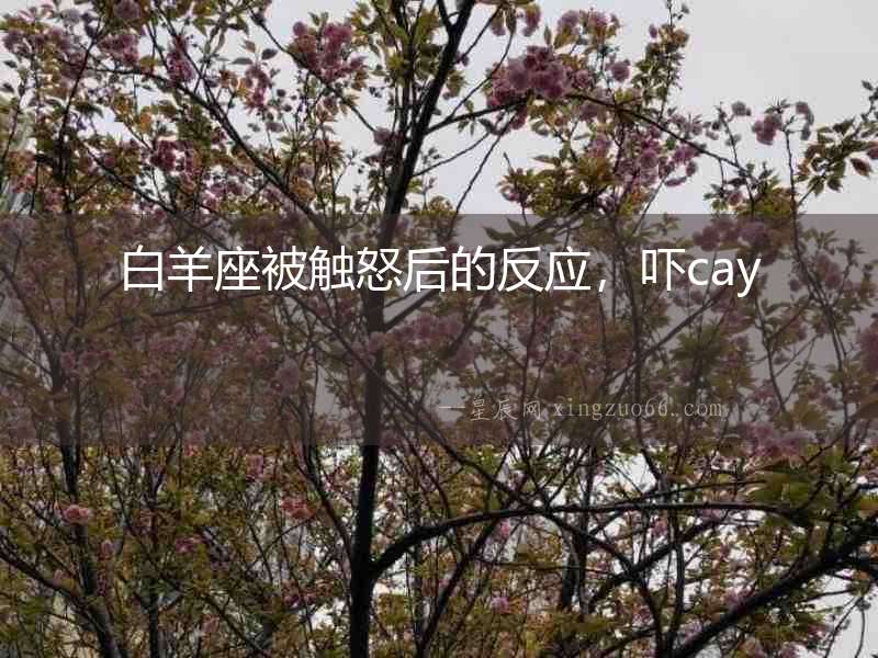 白羊座被觸怒后的反應，嚇cay