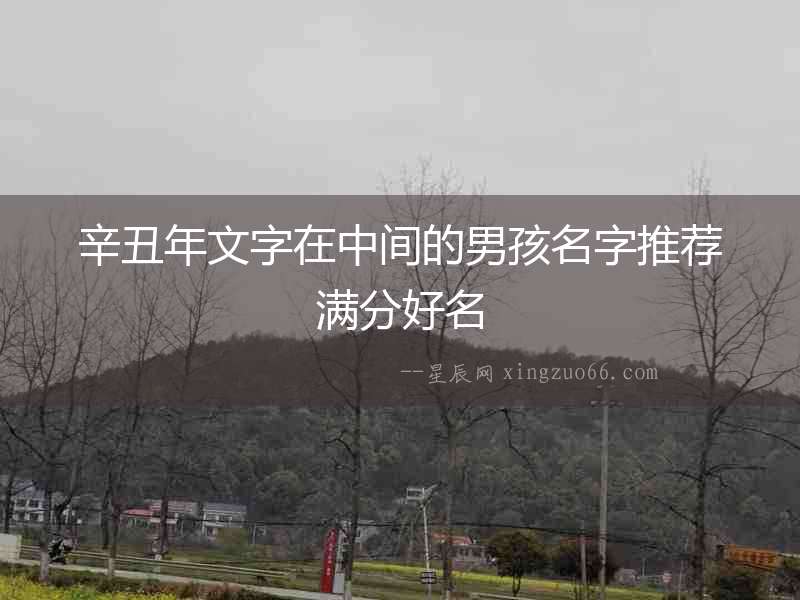 辛丑年文字在中間的男孩名字推薦滿分好名