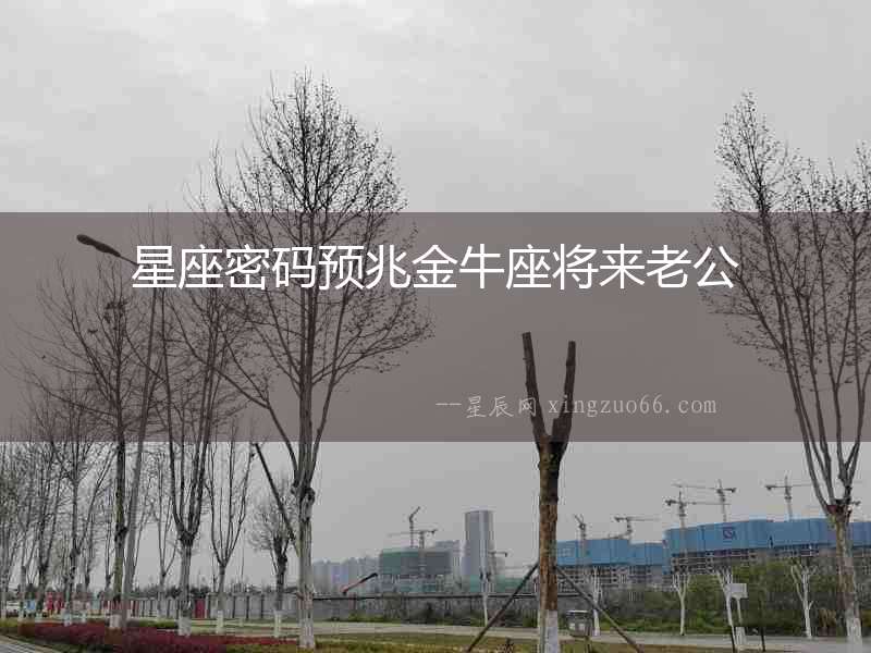 星座密碼預兆金牛座將來老公