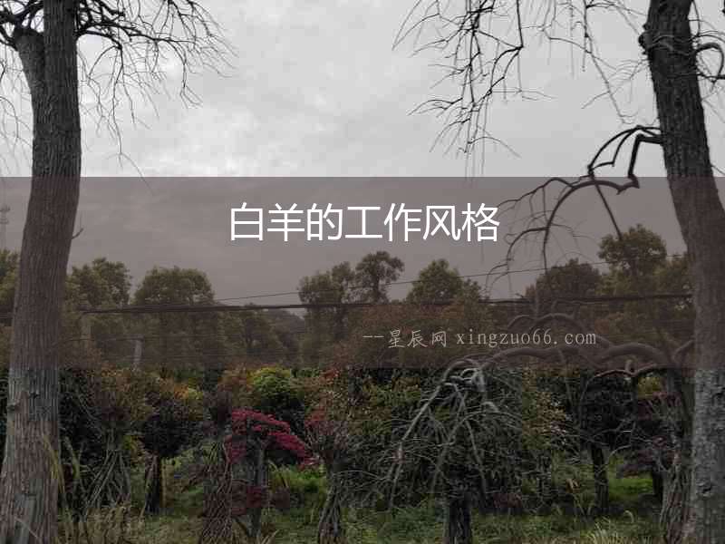 白羊的工作風格