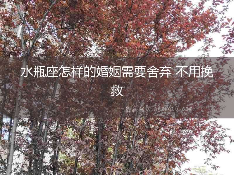 水瓶座怎樣的婚姻需要舍棄 不用挽救