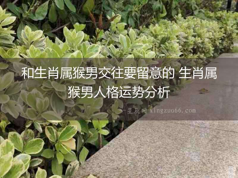 和生肖屬猴男交往要留意的 生肖屬猴男人格運勢分析
