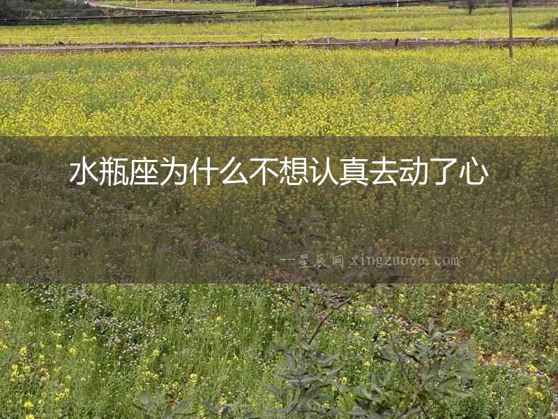 水瓶座為什么不想認(rèn)真去動了心
