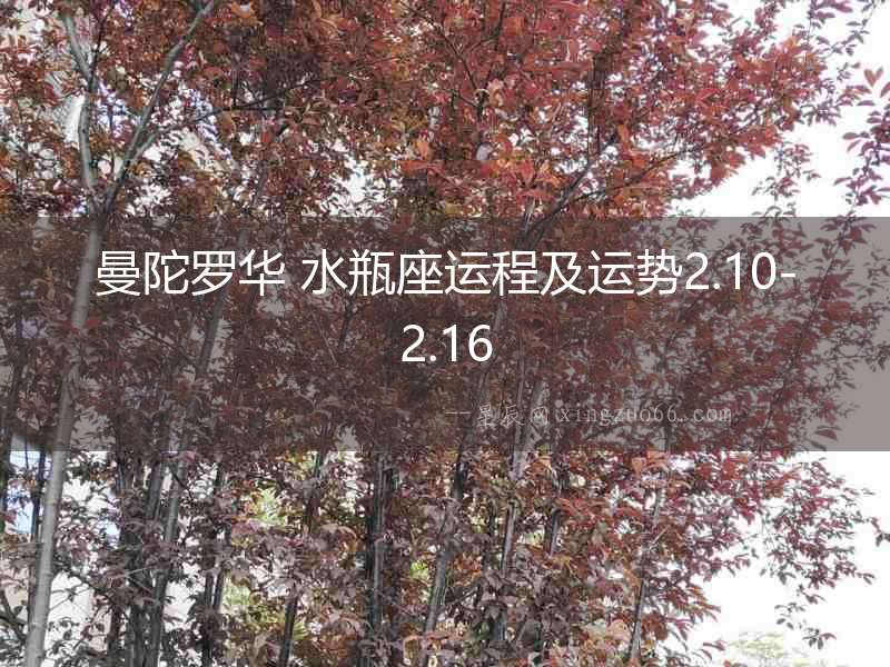 曼陀羅華 水瓶座運程及運勢2.10-2.16