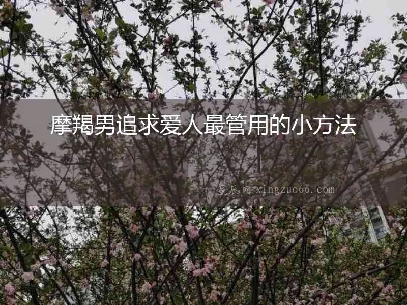 摩羯男追求愛人最管用的小方法