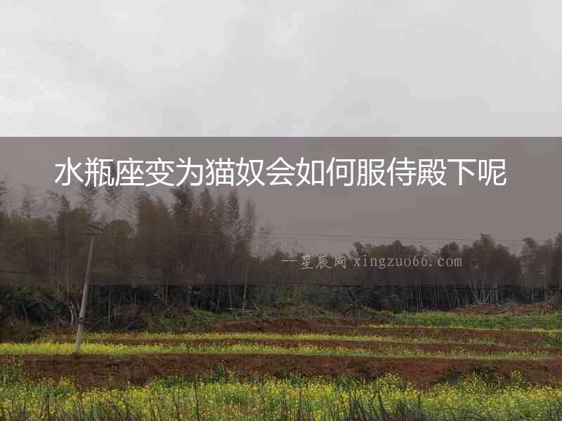 水瓶座變為貓奴會如何服侍殿下呢