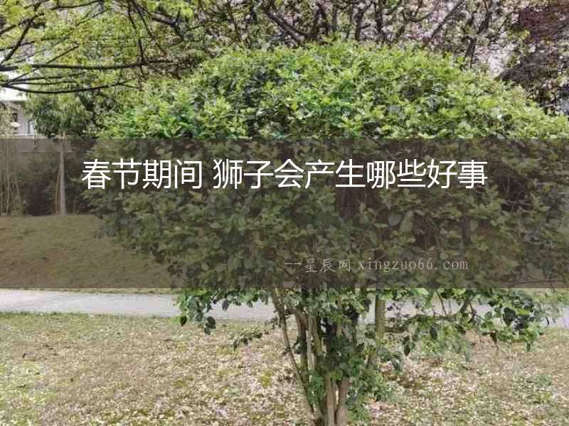 春節期間 獅子會產生哪些好事