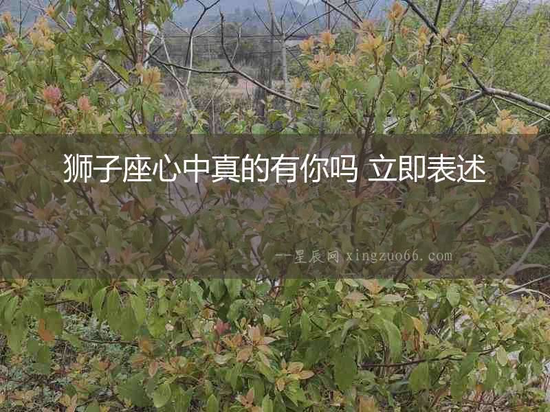 獅子座心中真的有你嗎 立即表述