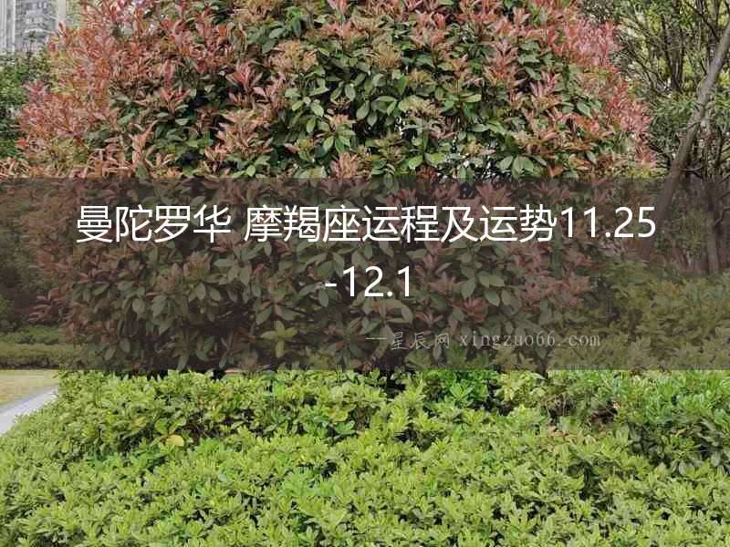 曼陀羅華 摩羯座運程及運勢11.25-12.1