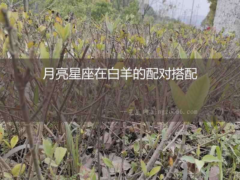 月亮星座在白羊的配對(duì)搭配
