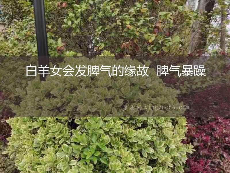 白羊女會發(fā)脾氣的緣故  脾氣暴躁