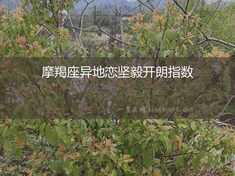 摩羯座異地戀堅毅開朗指數(shù)