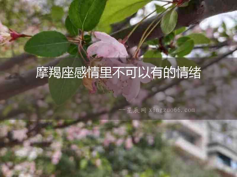 摩羯座感情里不可以有的情緒