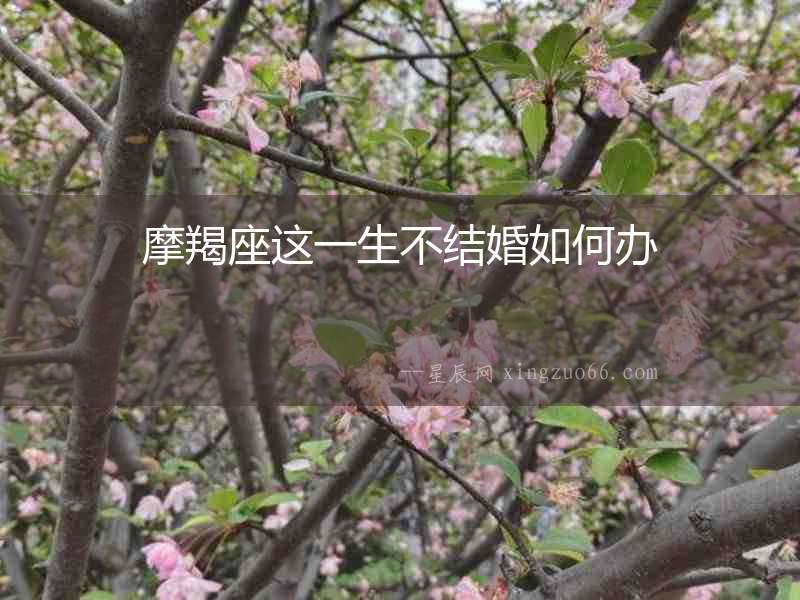 摩羯座這一生不結(jié)婚如何辦