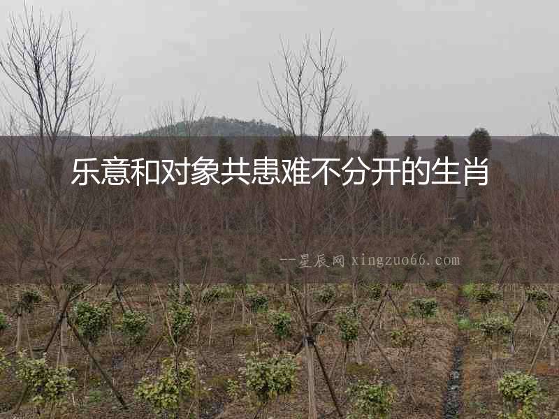 樂意和對象共患難不分開的生肖