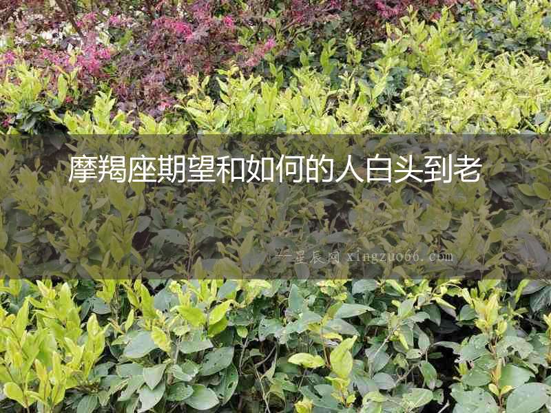 摩羯座期望和如何的人白頭到老