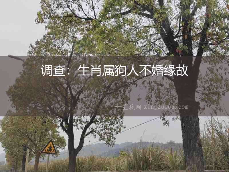 調查：生肖屬狗人不婚緣故