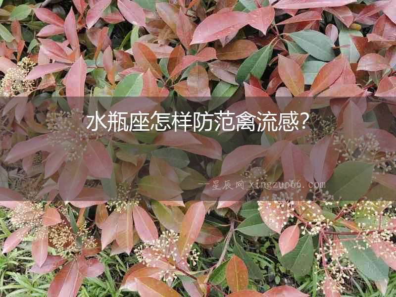 水瓶座怎樣防范禽流感？
