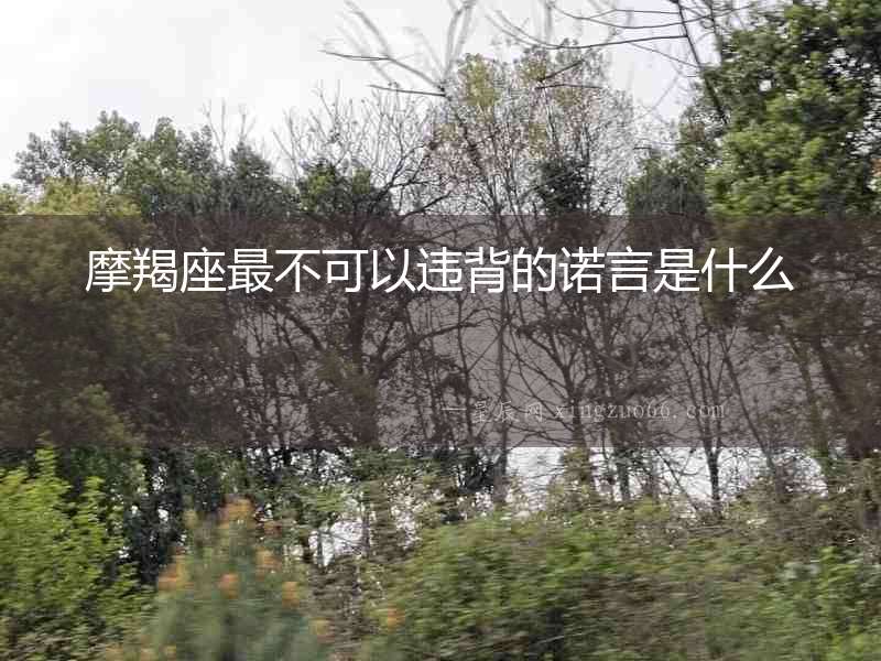 摩羯座最不可以違背的諾言是什么