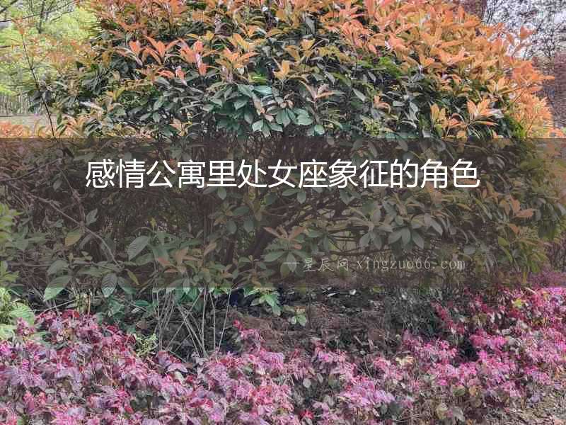 感情公寓里處女座象征的角色