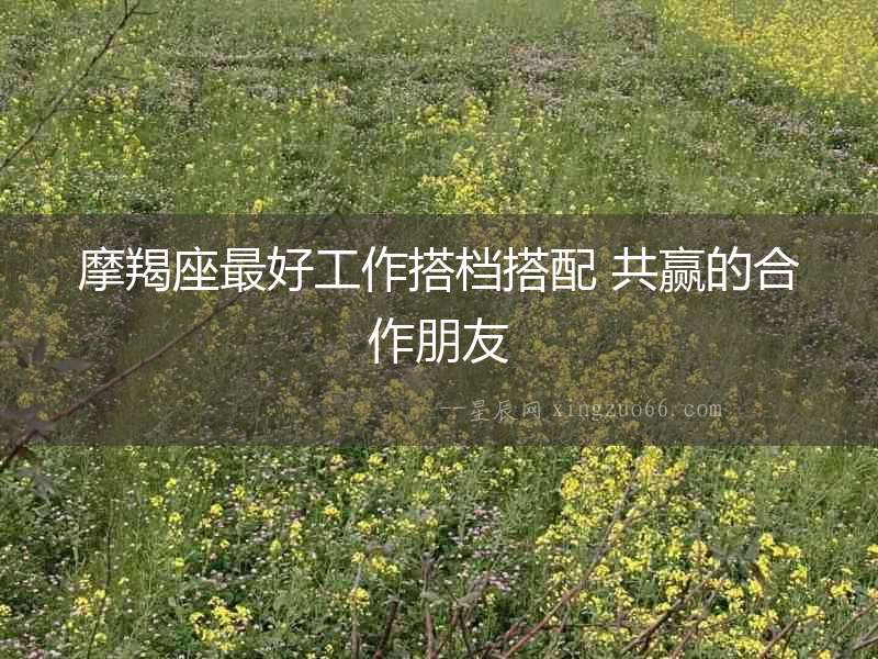 摩羯座最好工作搭檔搭配 共贏的合作朋友