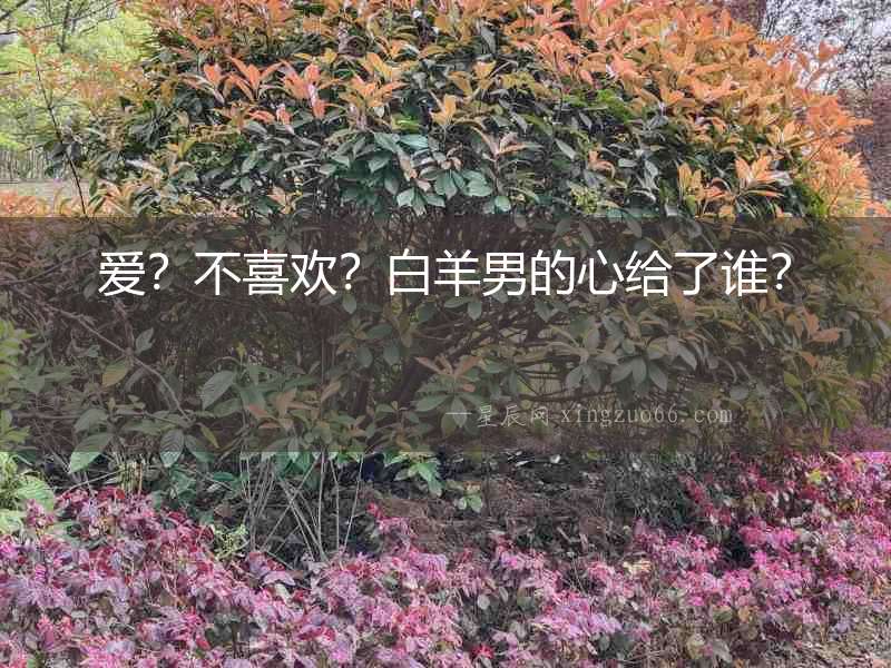 愛？不喜歡？白羊男的心給了誰？