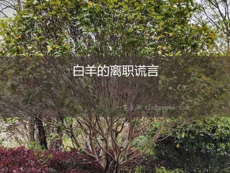 白羊的離職謊言