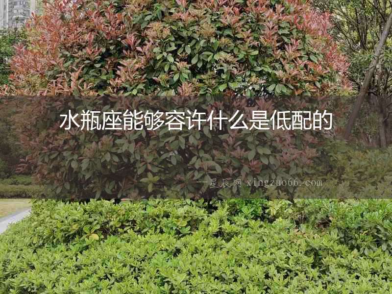 水瓶座能夠容許什么是低配的