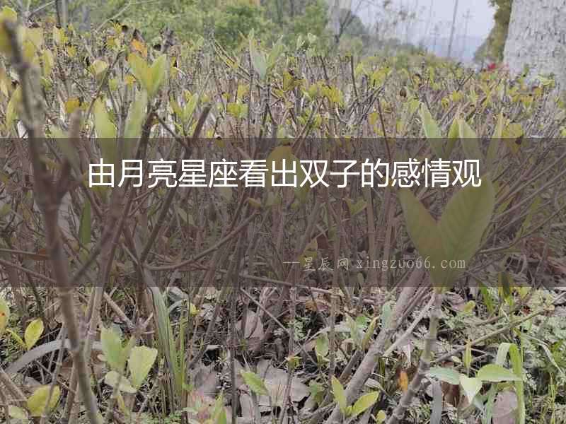 由月亮星座看出雙子的感情觀