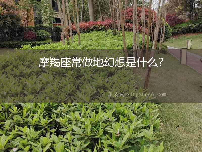 摩羯座常做地幻想是什么？
