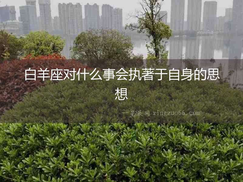 白羊座對什么事會執著于自身的思想