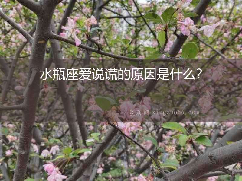 水瓶座愛說謊的原因是什么？