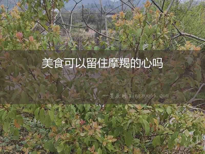 美食可以留住摩羯的心嗎