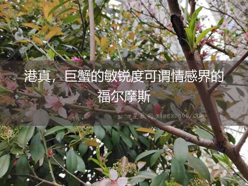 港真，巨蟹的敏銳度可謂情感界的福爾摩斯