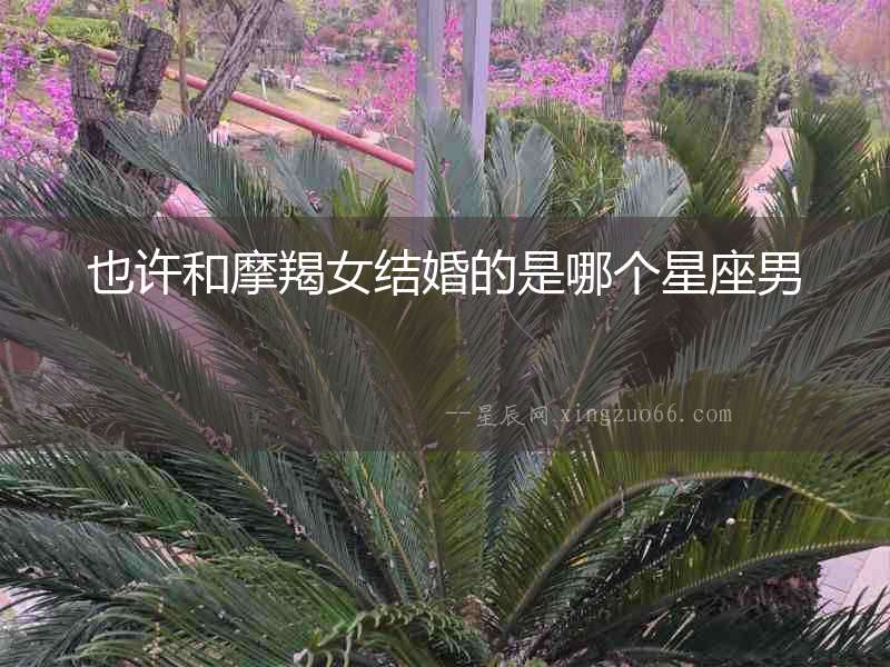 也許和摩羯女結婚的是哪個星座男