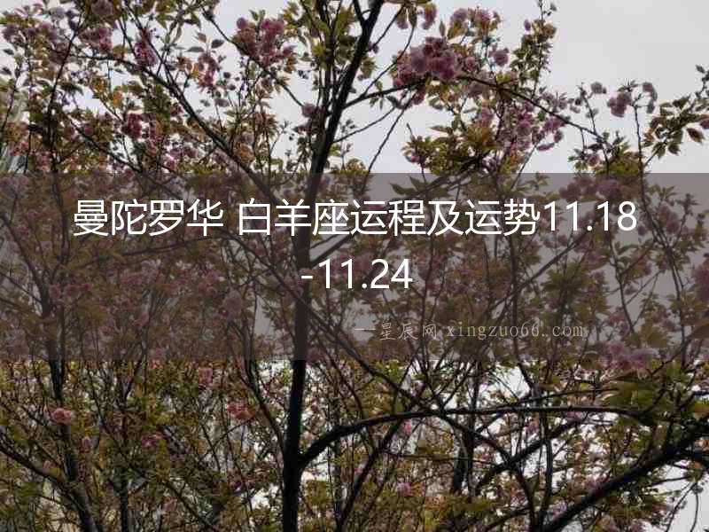 曼陀羅華 白羊座運程及運勢11.18-11.24