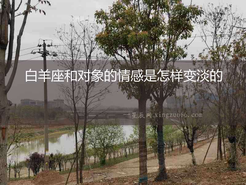白羊座和對象的情感是怎樣變淡的