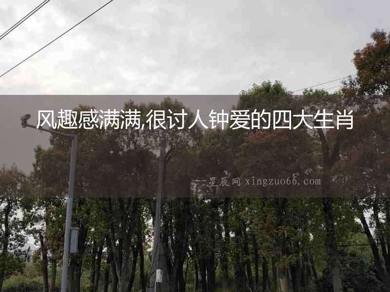風趣感滿滿,很討人鐘愛的四大生肖