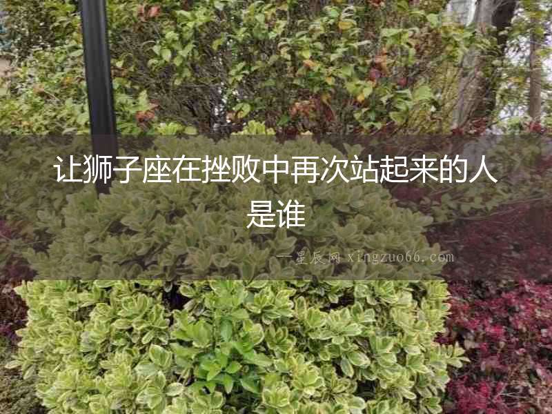 讓獅子座在挫敗中再次站起來的人是誰
